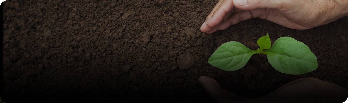 Fenntartható fogápolási termékek