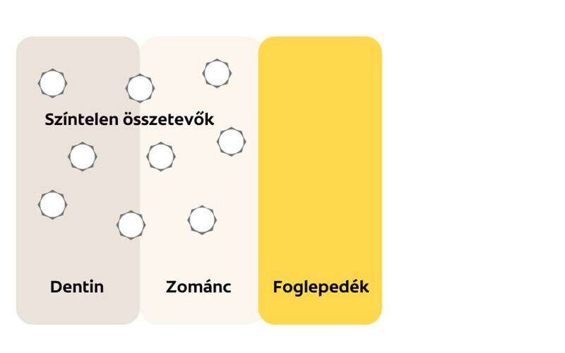 egy fehérített fog diagramja